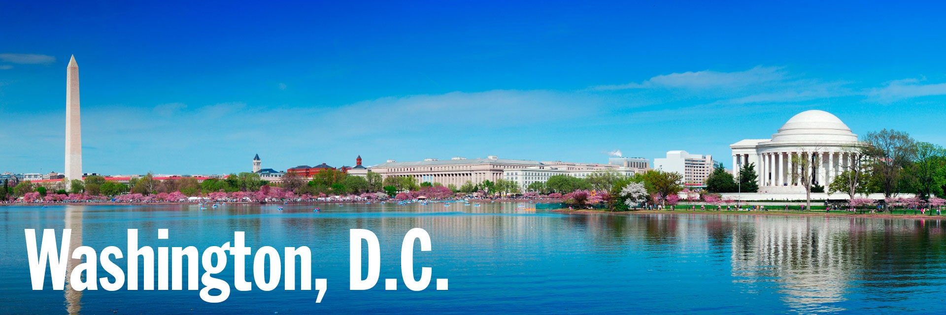 Summer Programs and Camps in Washington DC