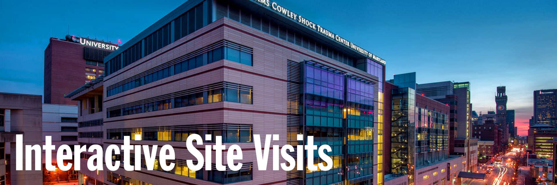 Interactive Medical Site Visits